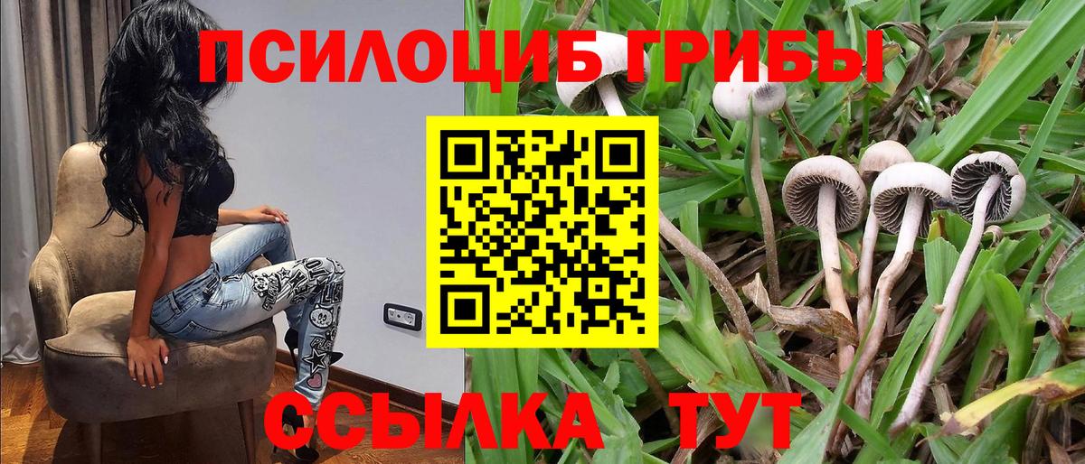 Псилоцибиновые грибы ЛСД  Вход с VPN  Новодвинск 